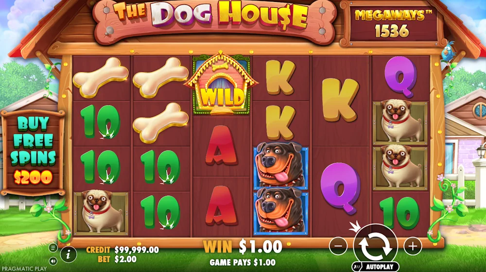 The Dog House Megaways